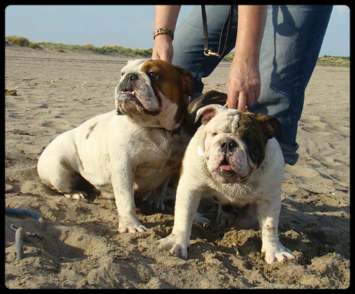 BALADE A LA PLAGE DU 02/06/09